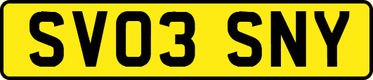 SV03SNY