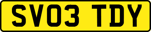 SV03TDY