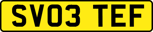 SV03TEF
