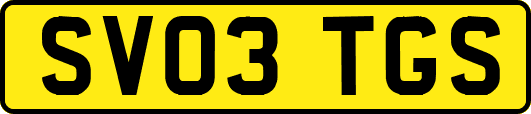 SV03TGS