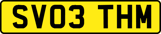 SV03THM