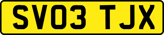 SV03TJX