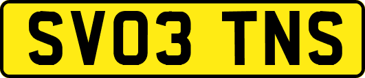 SV03TNS