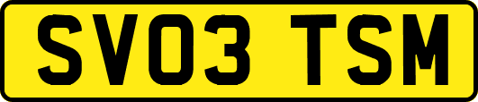 SV03TSM