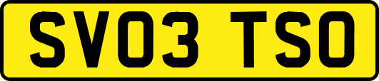 SV03TSO