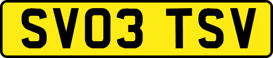 SV03TSV