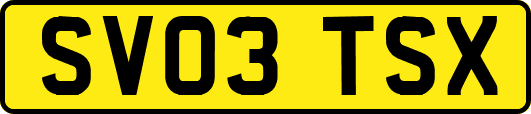 SV03TSX