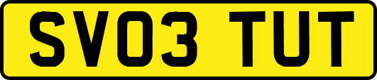 SV03TUT