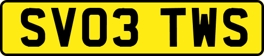 SV03TWS