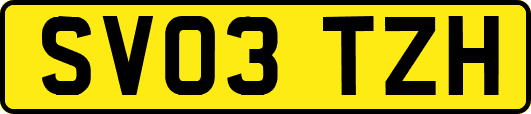 SV03TZH