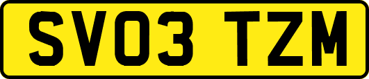 SV03TZM