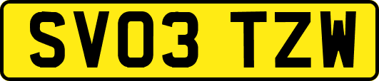 SV03TZW