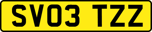 SV03TZZ