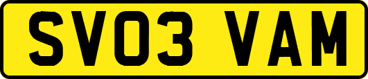 SV03VAM