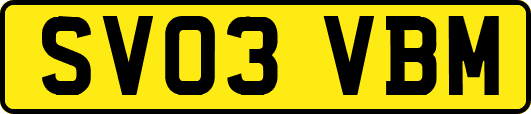 SV03VBM