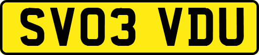 SV03VDU