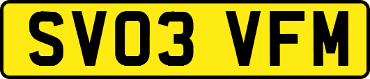 SV03VFM