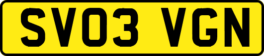 SV03VGN