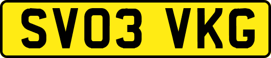 SV03VKG