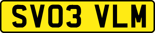 SV03VLM