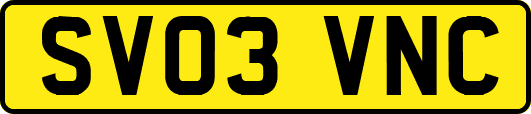 SV03VNC