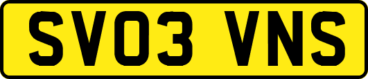 SV03VNS