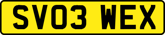 SV03WEX