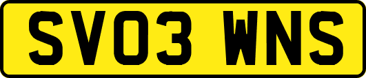 SV03WNS