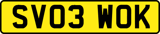 SV03WOK