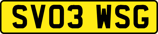 SV03WSG