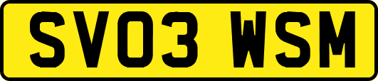SV03WSM