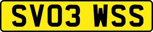 SV03WSS