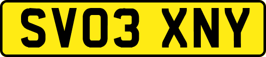 SV03XNY
