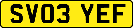 SV03YEF