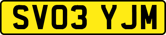 SV03YJM