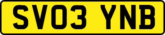 SV03YNB