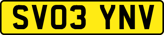 SV03YNV
