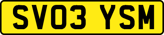 SV03YSM
