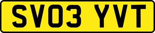SV03YVT