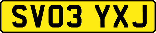 SV03YXJ