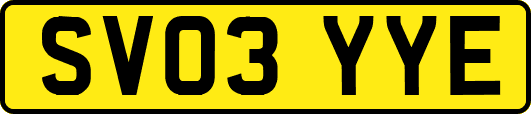 SV03YYE