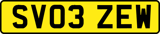 SV03ZEW