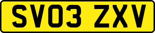 SV03ZXV