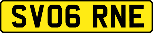 SV06RNE