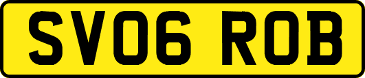 SV06ROB