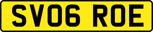 SV06ROE