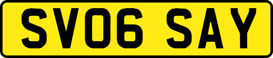 SV06SAY