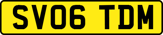 SV06TDM