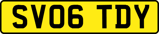 SV06TDY