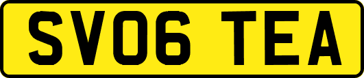 SV06TEA